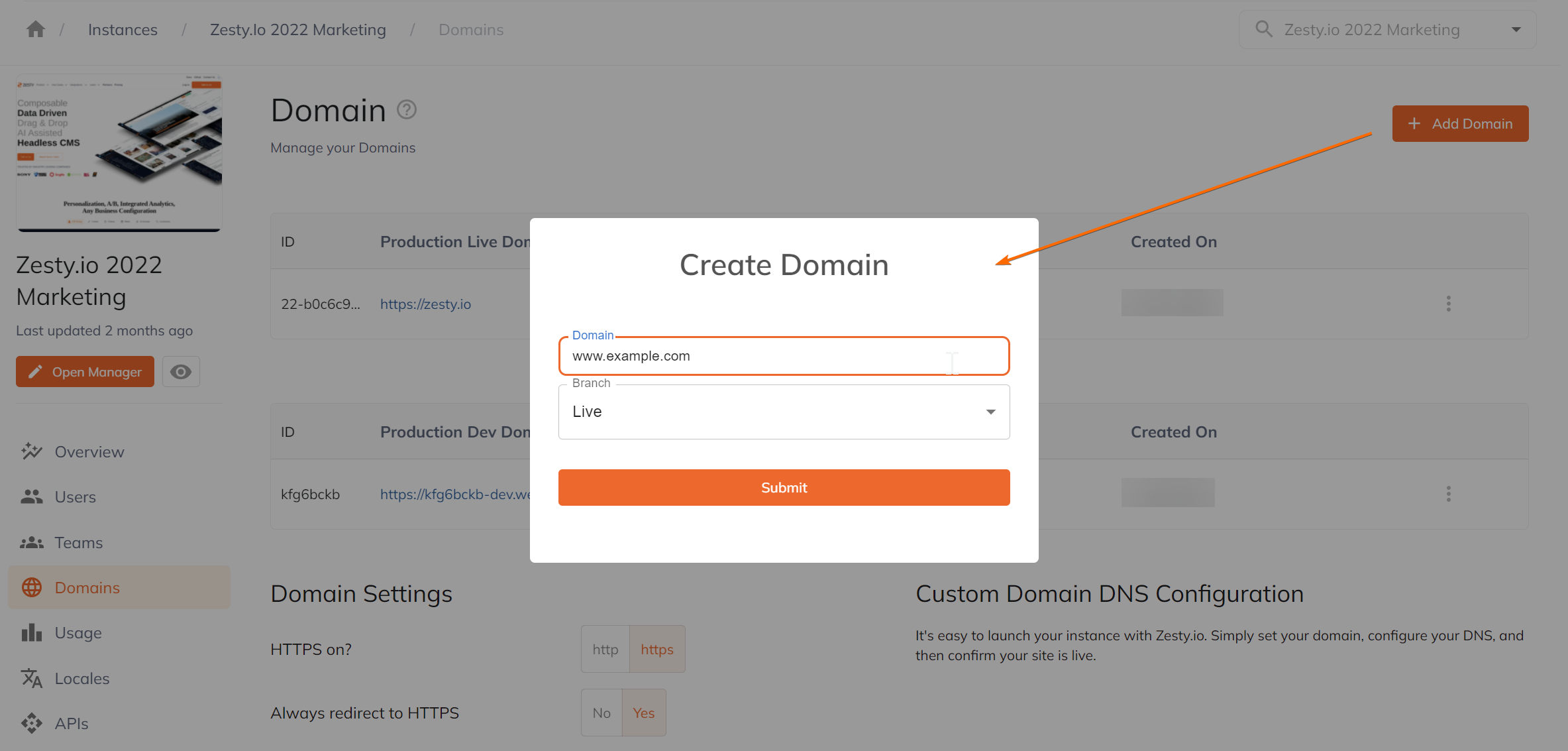 Custom Domain Configuration Submission