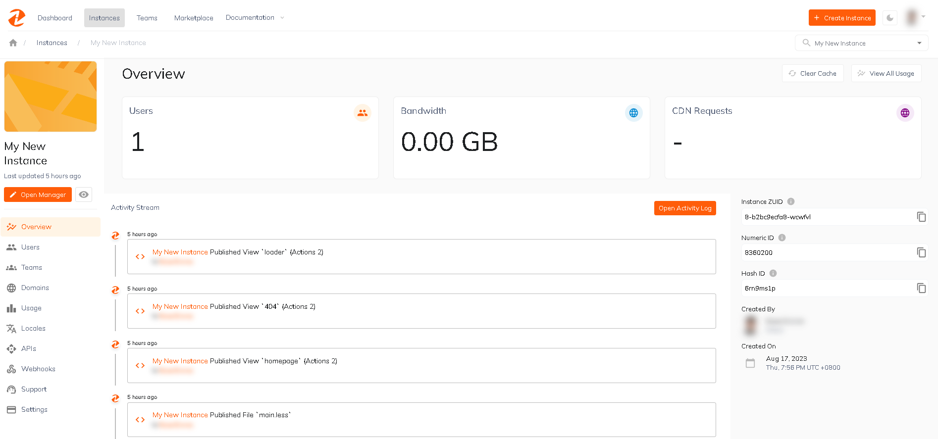 Instance details located in Instance Overview -lg