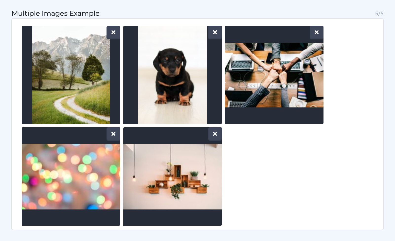 multiple-images-in-field-example