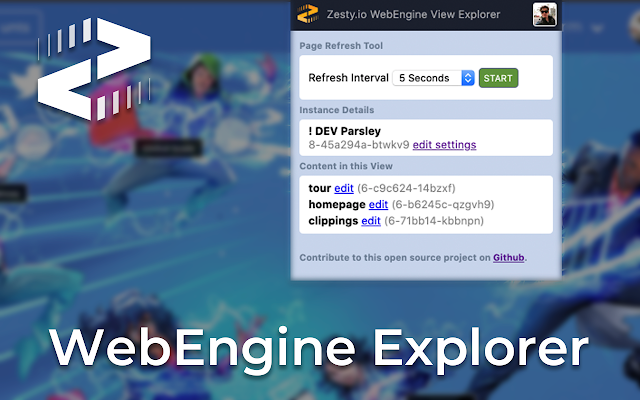 webengine-view-explorer-zestyio-chrome-plugin.png